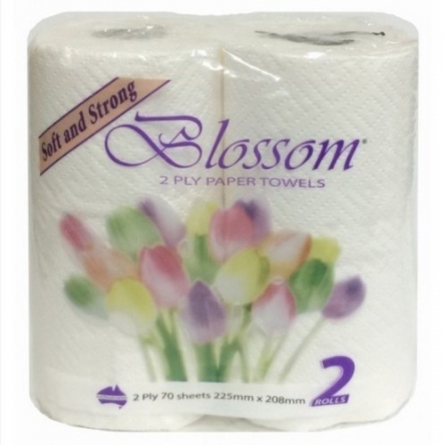Blossom 2 Ply 70s 2Pk x 12 Paper Towel