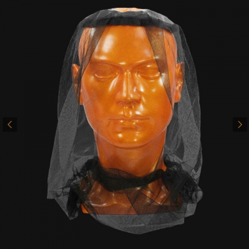 Rugged Xtremes - MD Insect Head Net